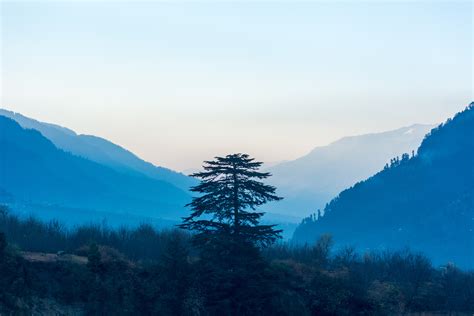 청려산수도(Clear and Cool Mountain Landscape) - 섬세한 색채와 고요함을 담은 자연의 정취!